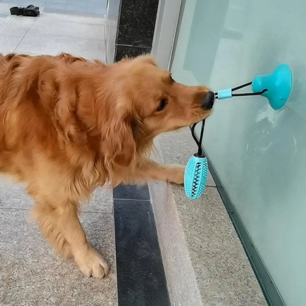 Dog Chew Toys for Aggressive Chewers Interactive Dog Suction Cup Toy Teething Rope Toy Dog Puzzle Treat Food Dispensing Ball Toy