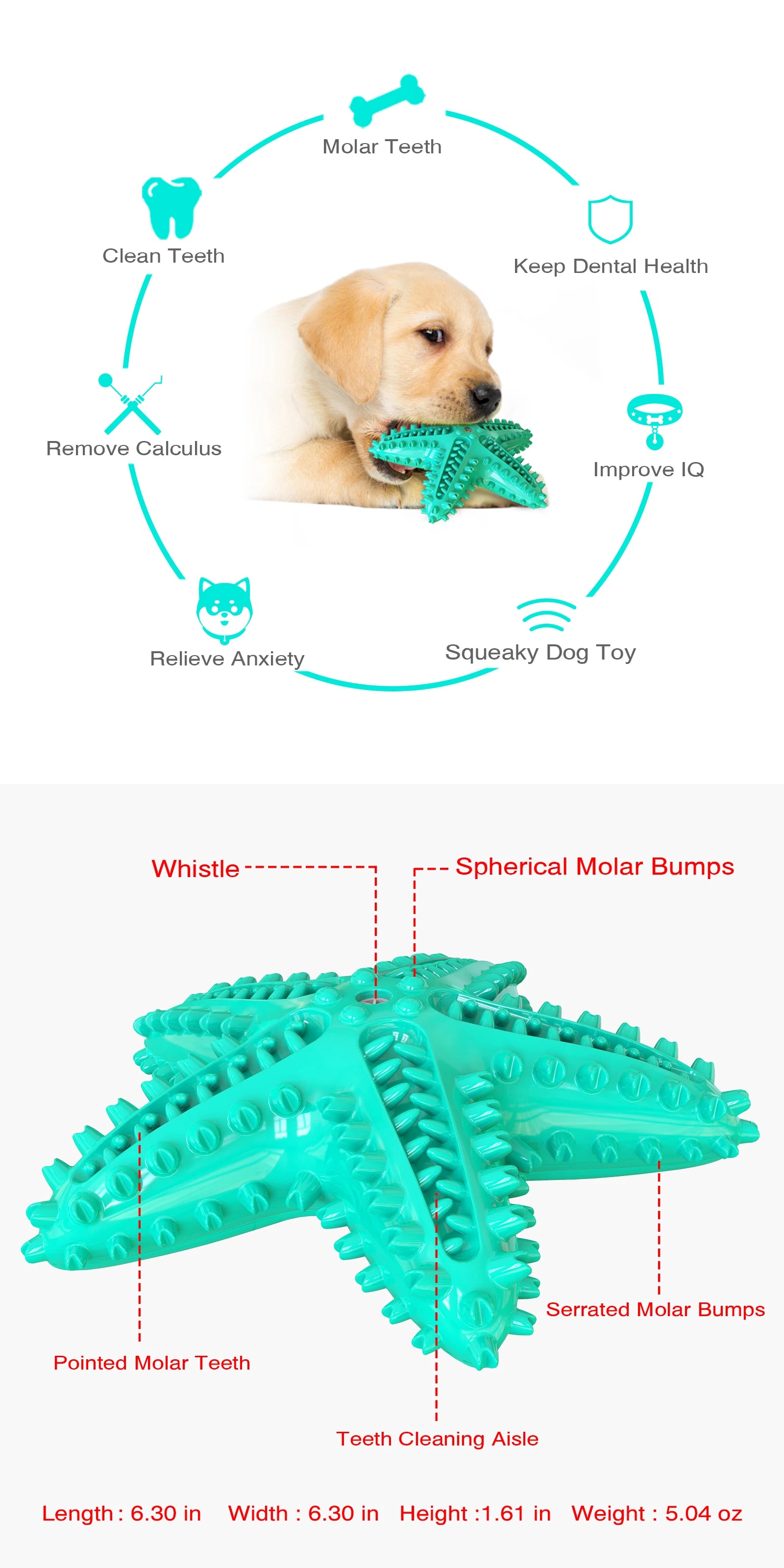 Dog Toys For Large Dogs Tooth Cleaning Chew Funny Interactive Training Starfish Toy Accessories Squeaky Toys TPR Toys Beagle