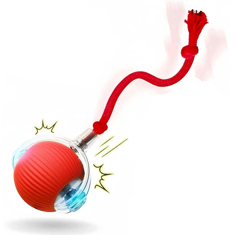 Interactive Cat Toy, Automatic Rolling Ball Cat USB Rechargeable, Antistress Indoor Toys for Cats, Electric Cat Ball Toy