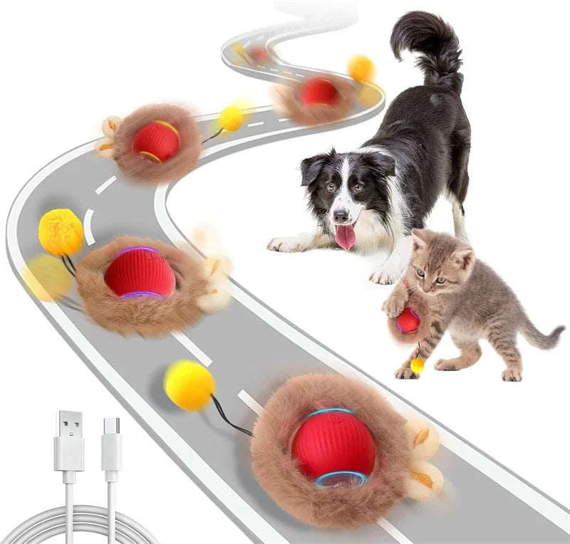 Interactive Cat Toy, Automatic Rolling Ball Cat USB Rechargeable, Antistress Indoor Toys for Cats, Electric Cat Ball Toy