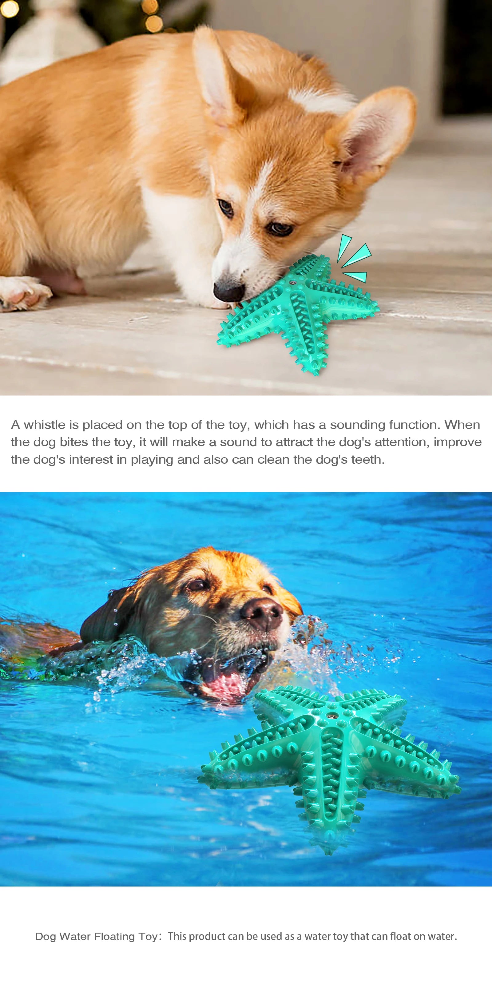 Dog Toys For Large Dogs Tooth Cleaning Chew Funny Interactive Training Starfish Toy Accessories Squeaky Toys TPR Toys Beagle