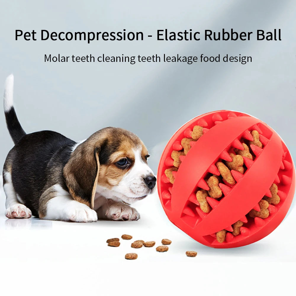 Dog Ball Toys for Small Dogs Interactive Elasticity Puppy Chew Toy Tooth Cleaning Rubber Food Ball Toy Pet Stuff Accessories
