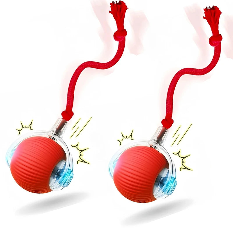 Interactive Cat Toy, Automatic Rolling Ball Cat USB Rechargeable, Antistress Indoor Toys for Cats, Electric Cat Ball Toy