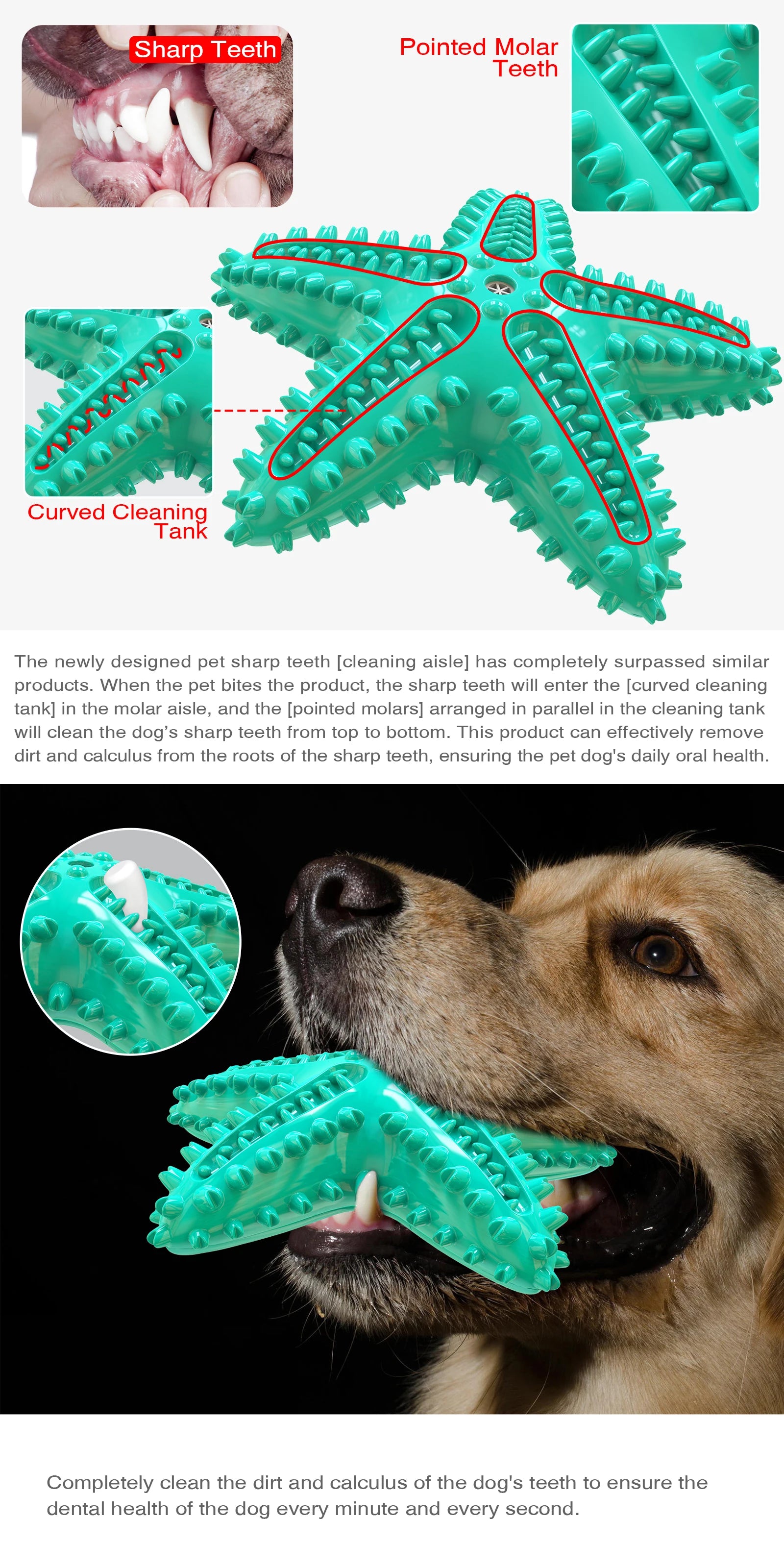 Dog Toys For Large Dogs Tooth Cleaning Chew Funny Interactive Training Starfish Toy Accessories Squeaky Toys TPR Toys Beagle