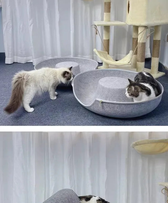 Peekaboo Cat Cave for Multiple & Large Cats Up to 30-45 Lbs, Scratch Detachable & Washable Tunnel Bed, Comfy Donut Cat Cave