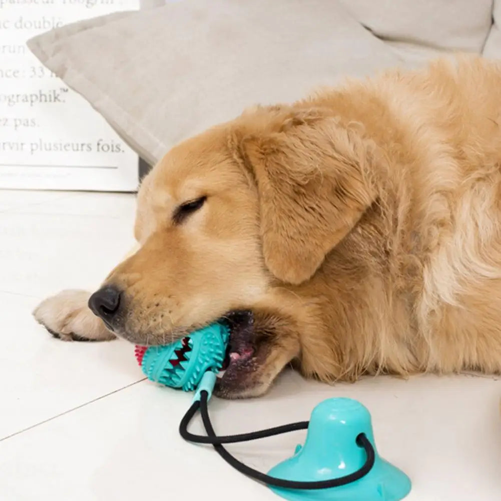 Dog Chew Toys for Aggressive Chewers Interactive Dog Suction Cup Toy Teething Rope Toy Dog Puzzle Treat Food Dispensing Ball Toy